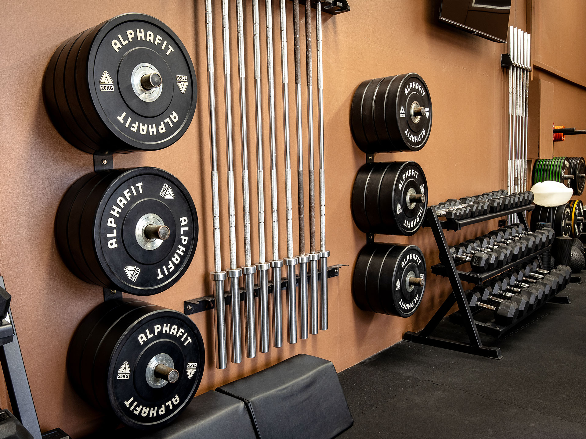 SWT Society. Functional Fitness Fitout