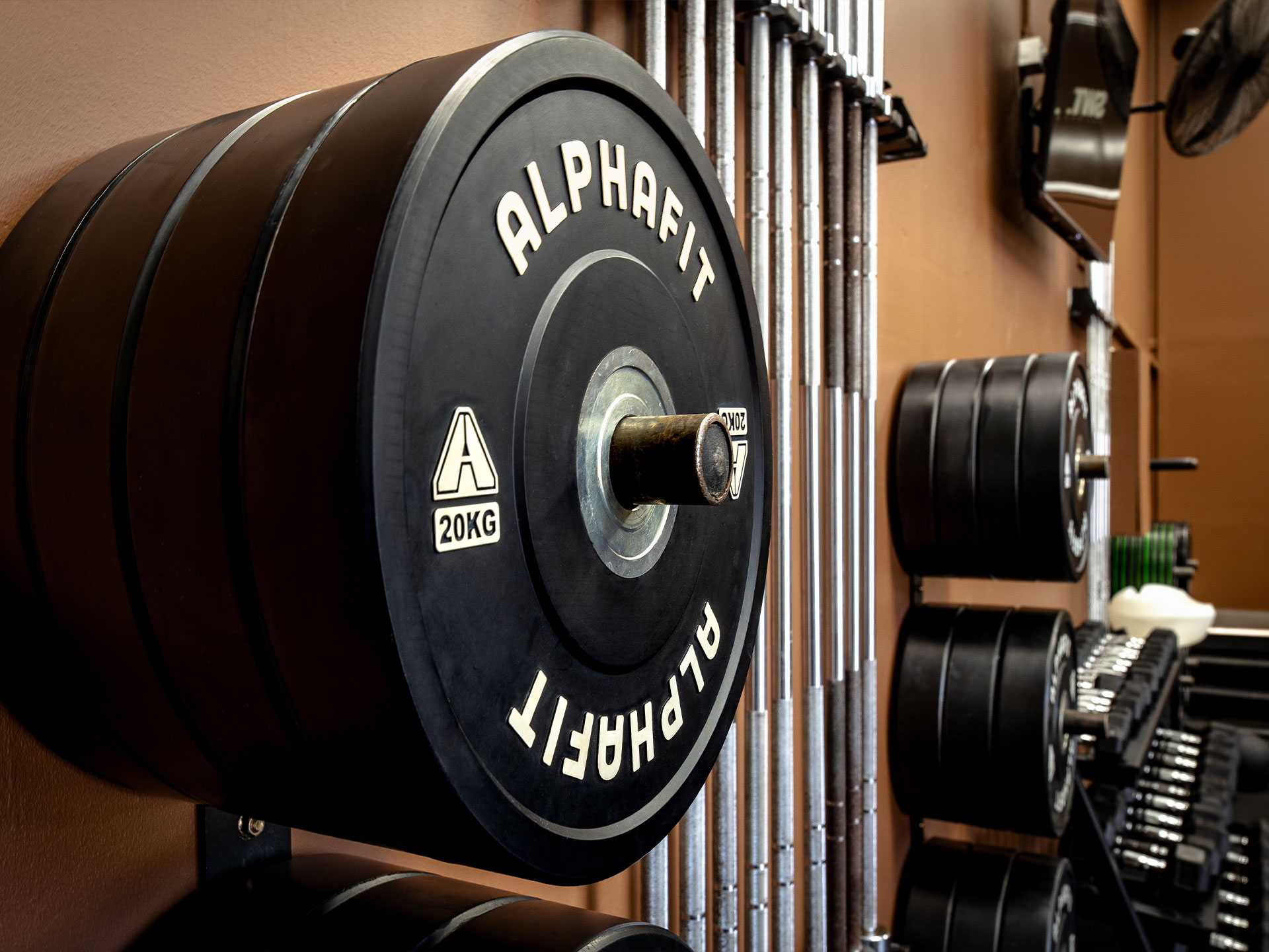 SWT Society. Functional Fitness Fitout