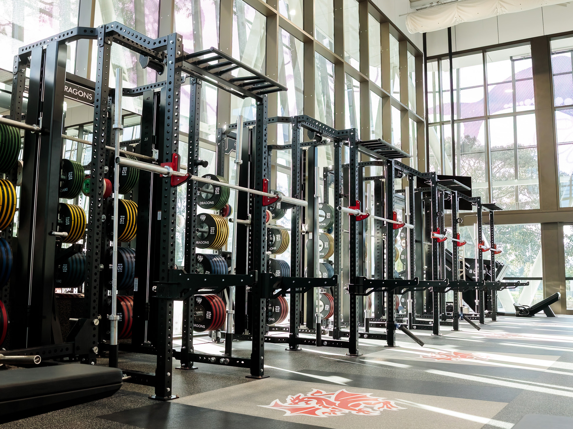  St George Illawarra Dragons. Elite Sports Club Fitout