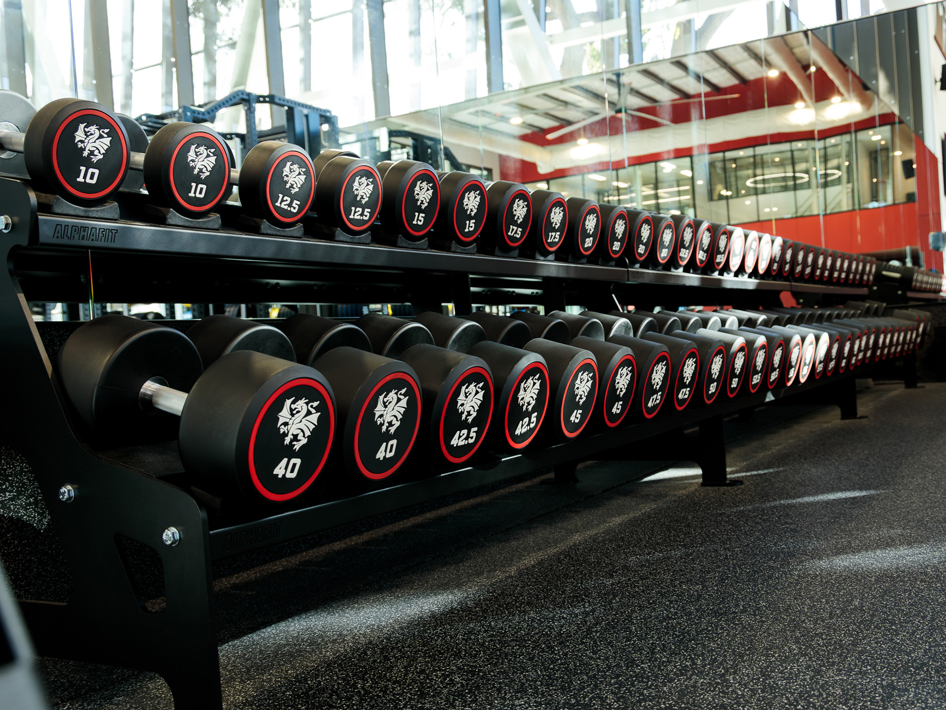  St George Illawarra Dragons. Elite Sports Club Fitout