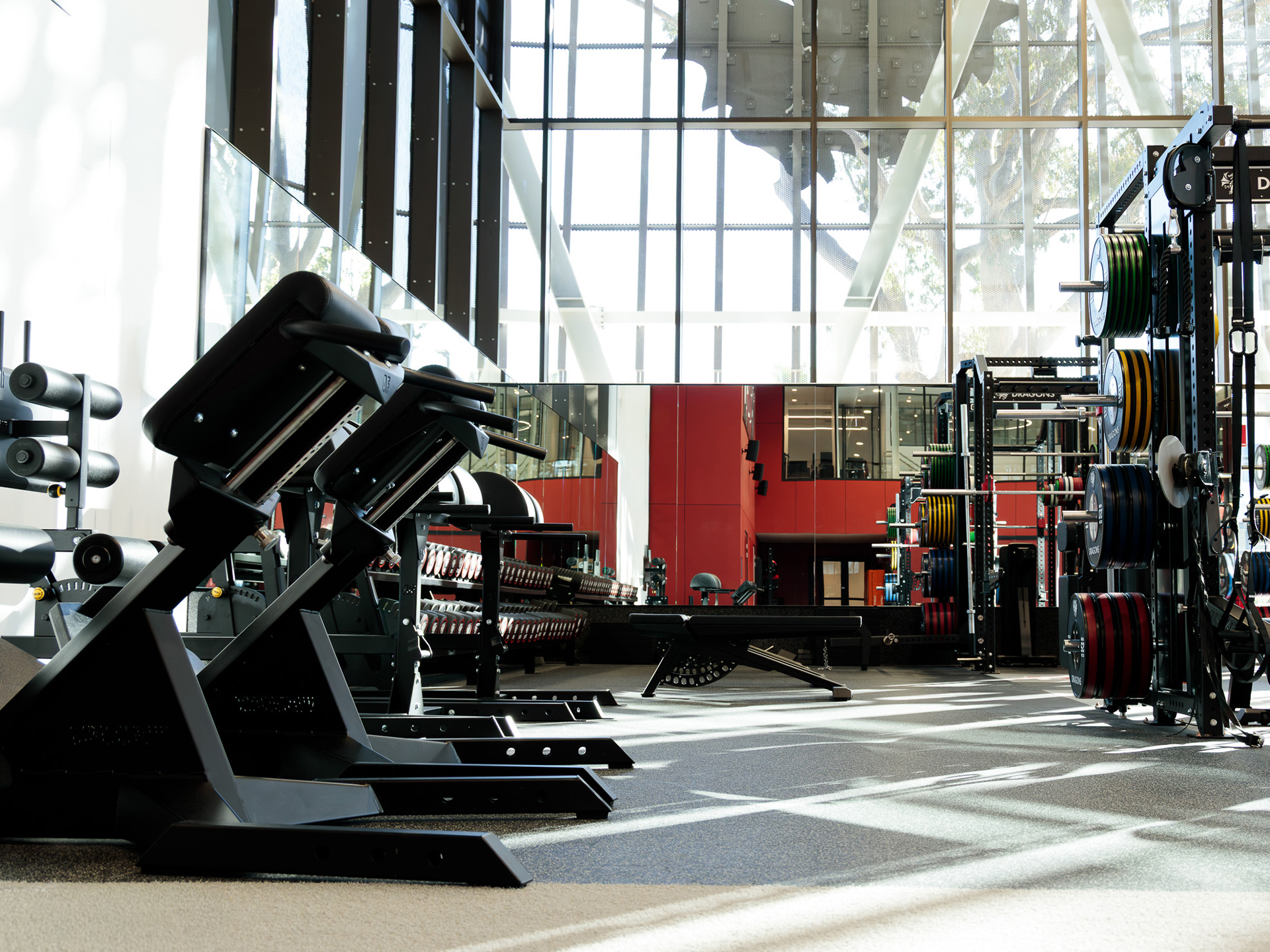  St George Illawarra Dragons. Elite Sports Club Fitout
