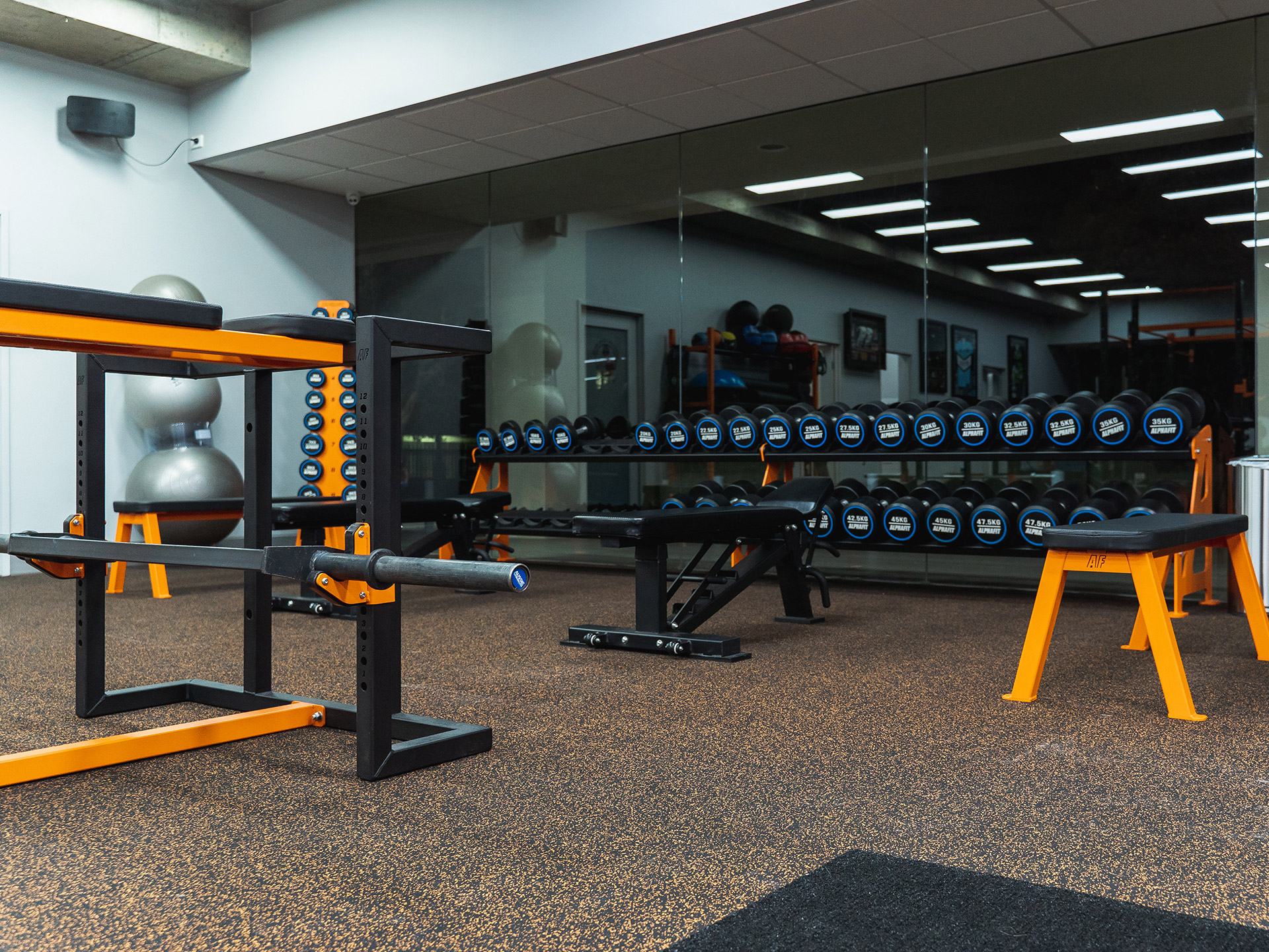 Ethos Performance Strength and Conditioning Gym Fitout