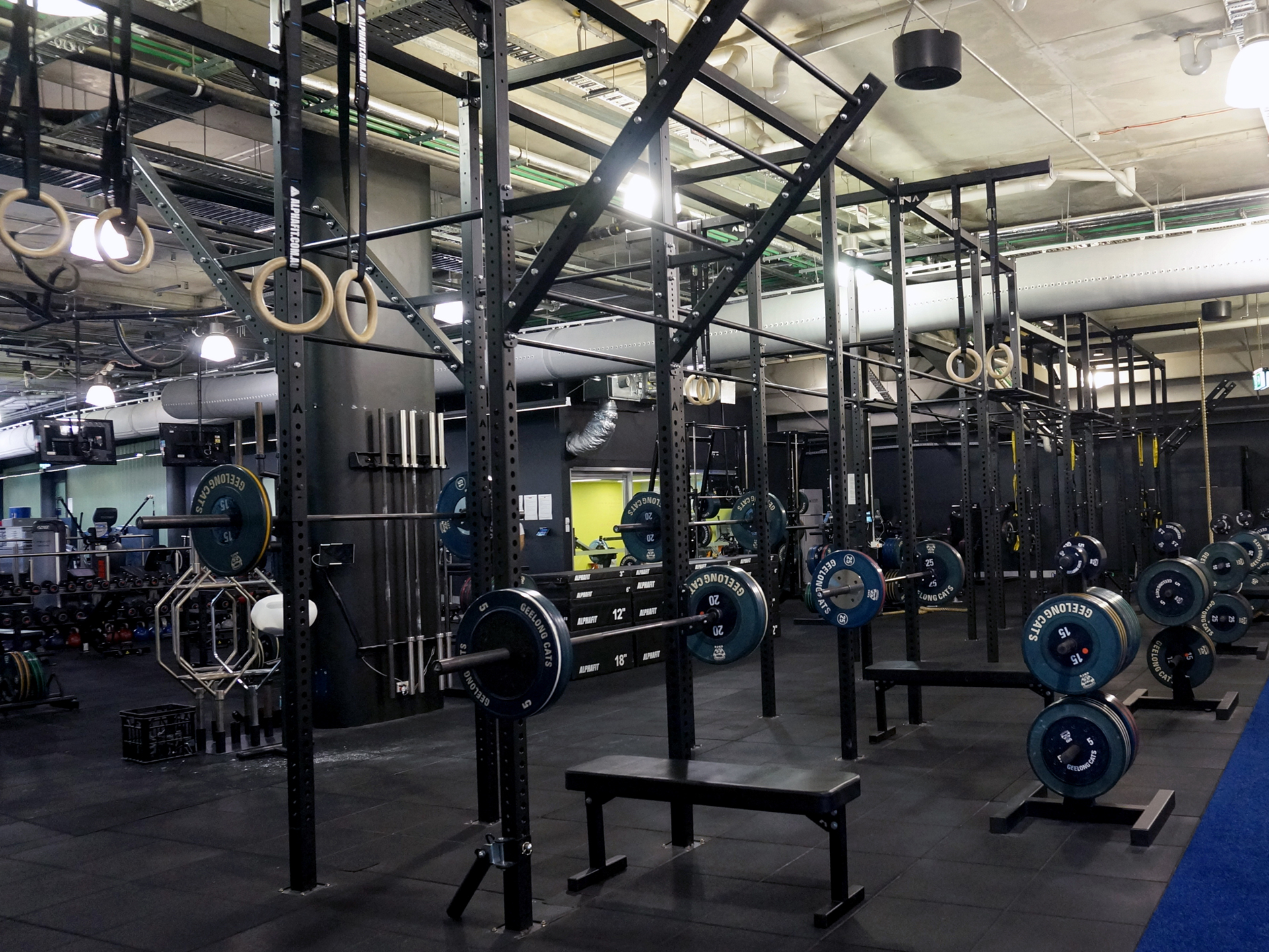 AFL Geelong Cats Football Club Gym Fitout