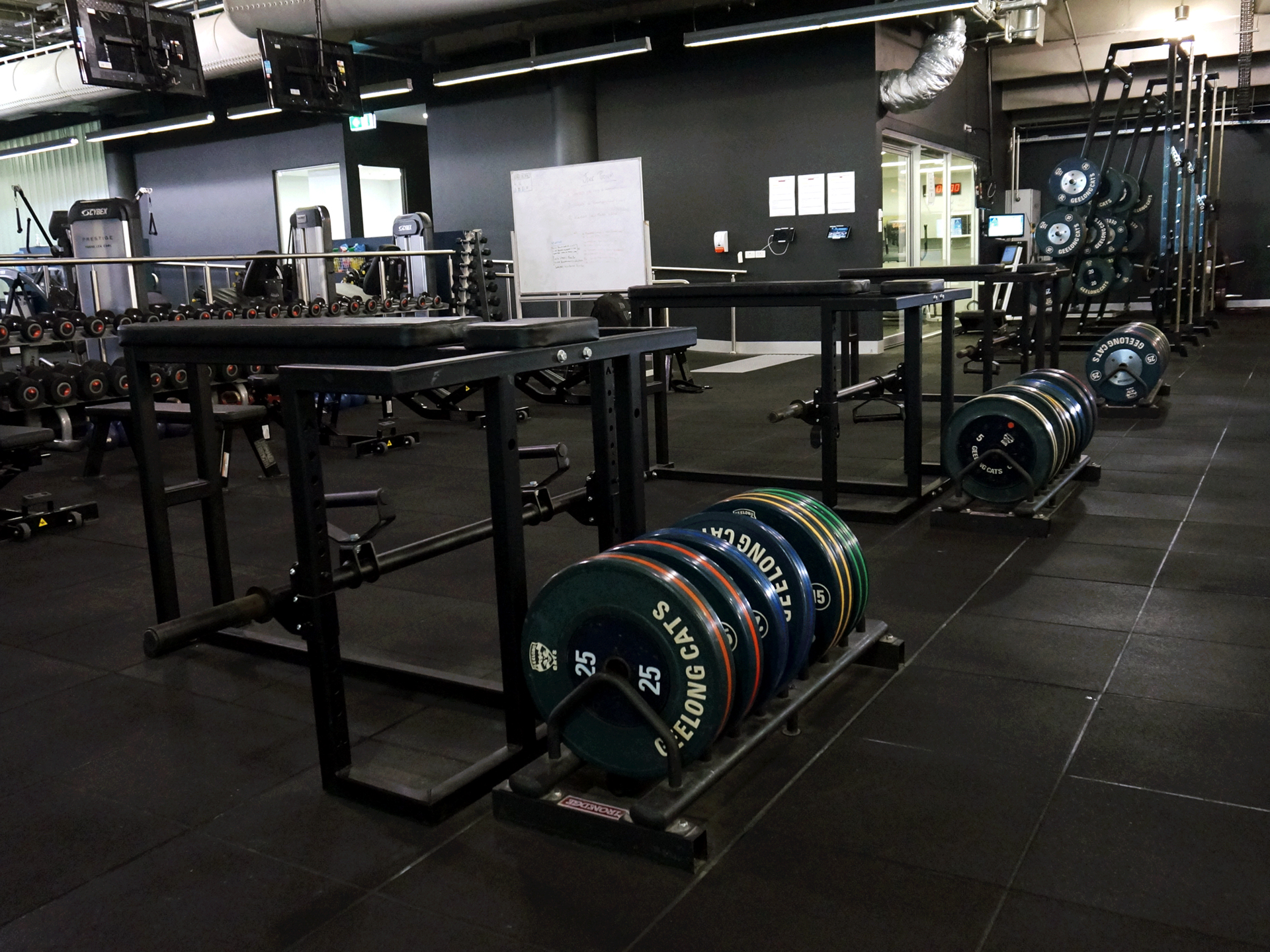 AFL Geelong Cats Football Club Gym Fitout