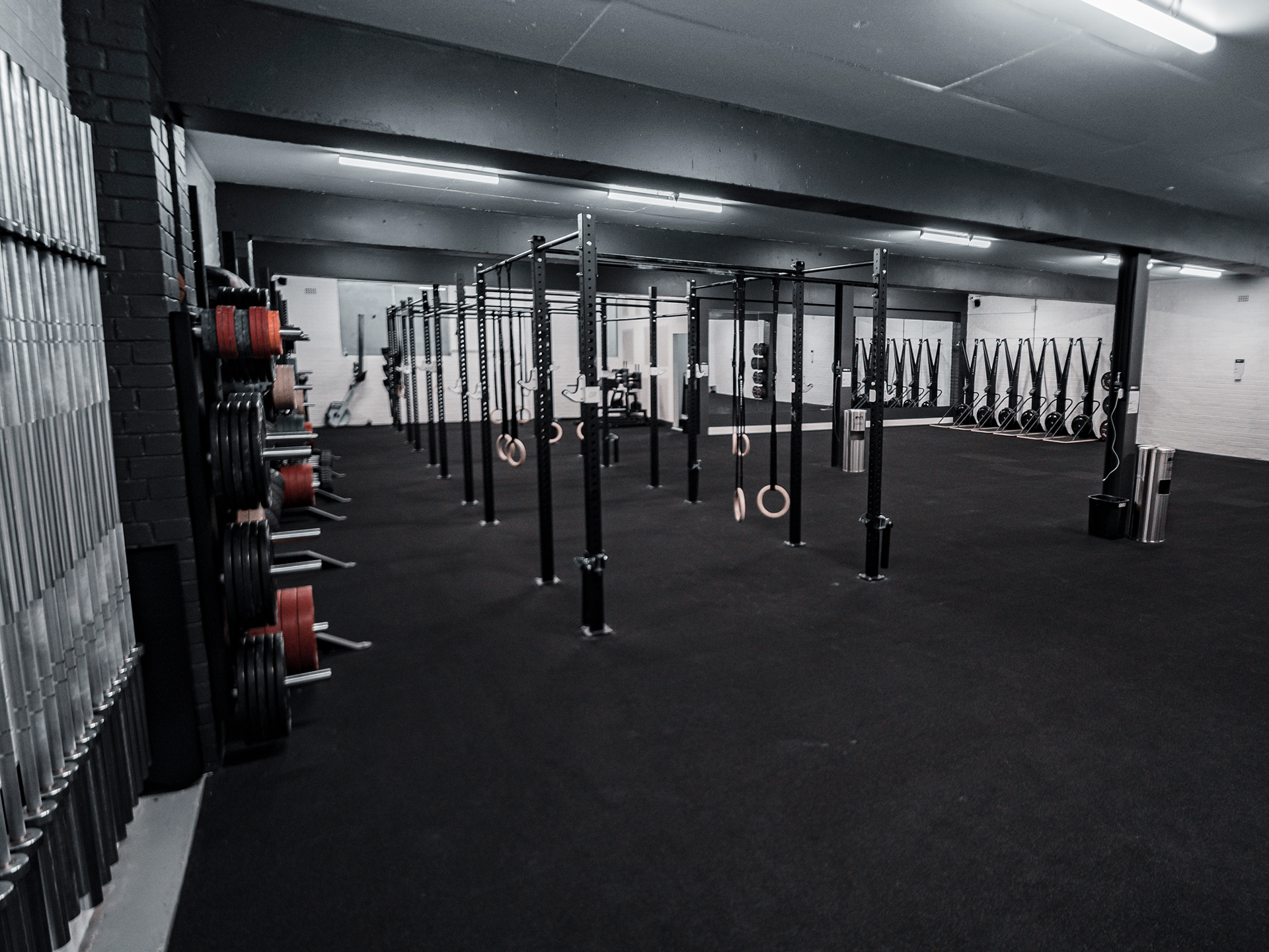Tribe Headquarters Strength and Conditioning Gym Fitout