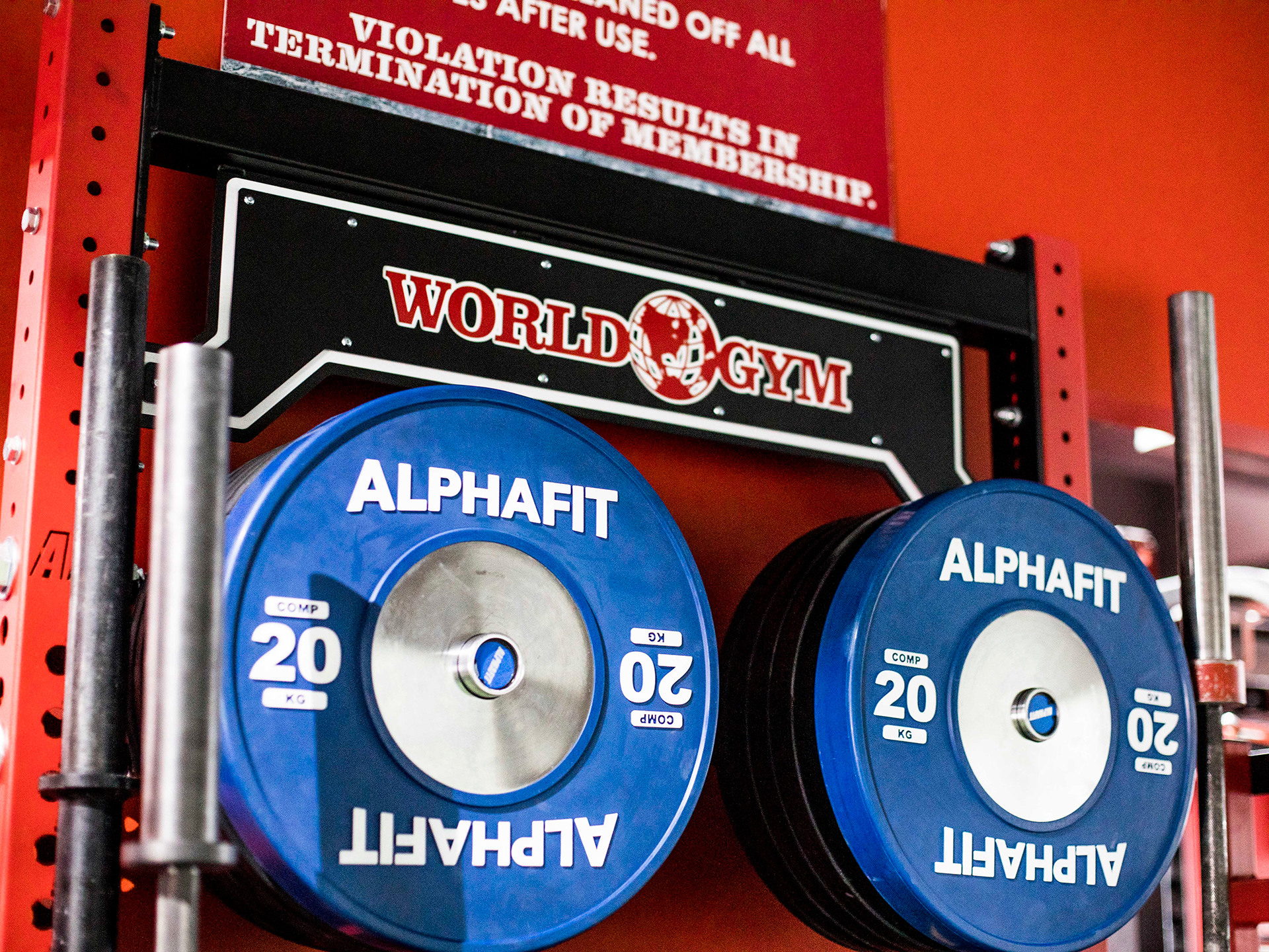 World Gym Burleigh Heads Commercial Gym Fitout