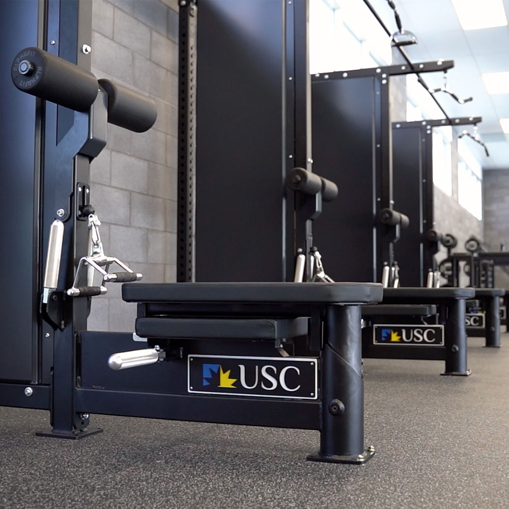 custom AlphaFit Core Lat Pull Low Row Tower for USC