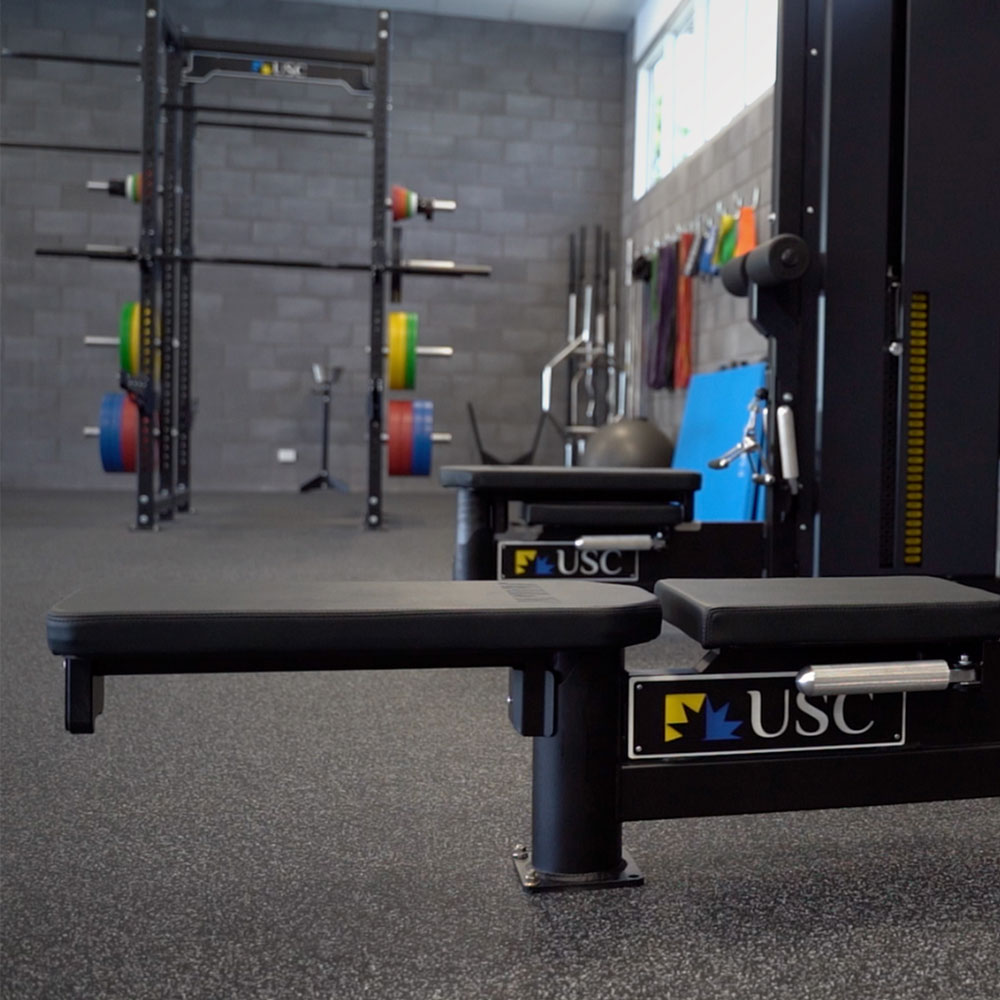 custom AlphaFit Core Lat Pull Low Row Tower for USC