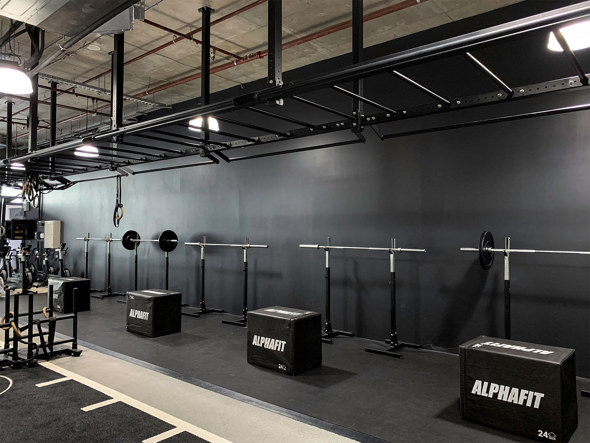 BeFit Training Strength and Conditioning Gym Fitout