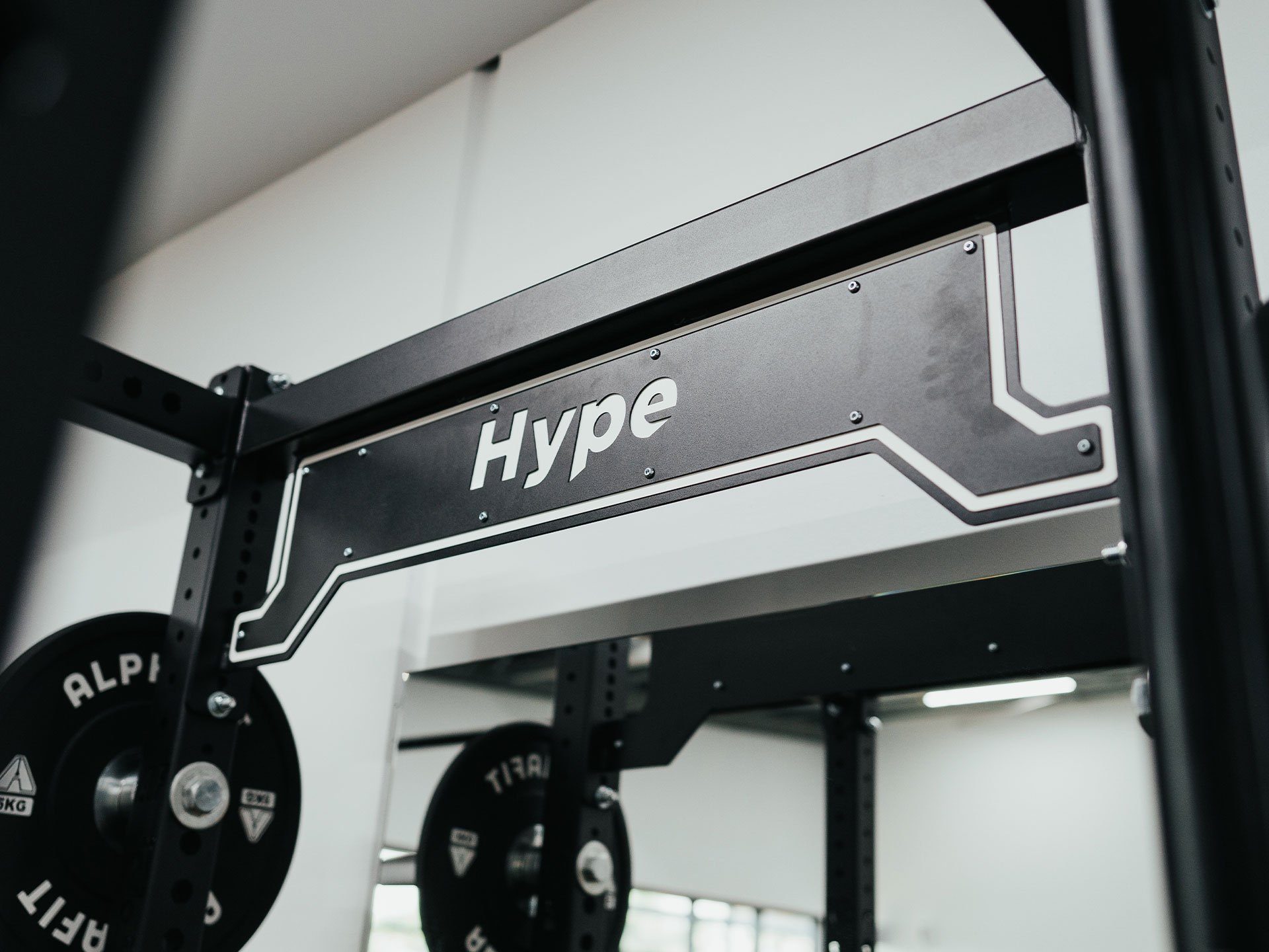 AlphaFit Custom Bumper Plate Storage for World Gym