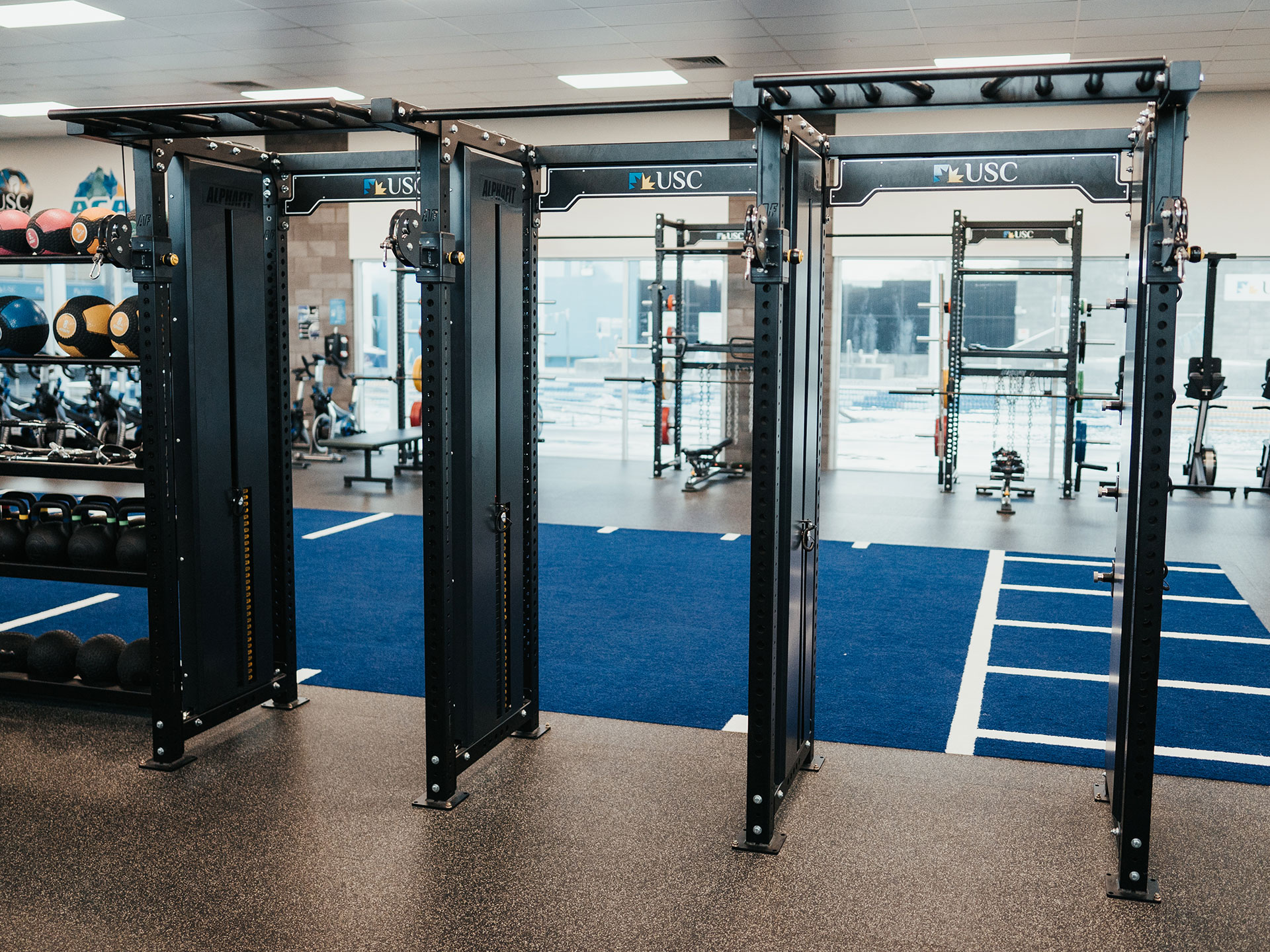 AlphaFit Custom Bumper Plate Storage for World Gym
