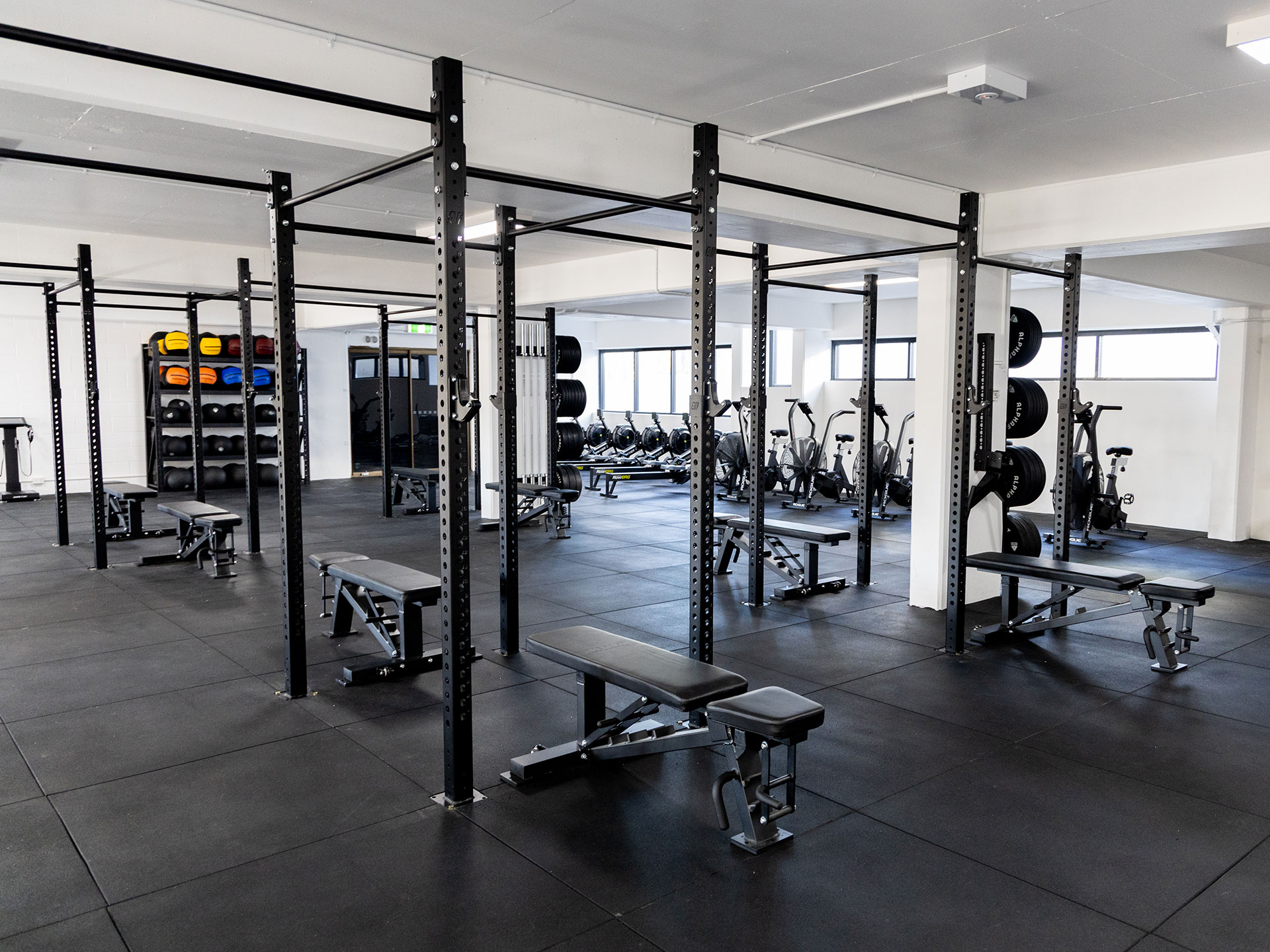 ACTV Strength Co. | AlphaFit