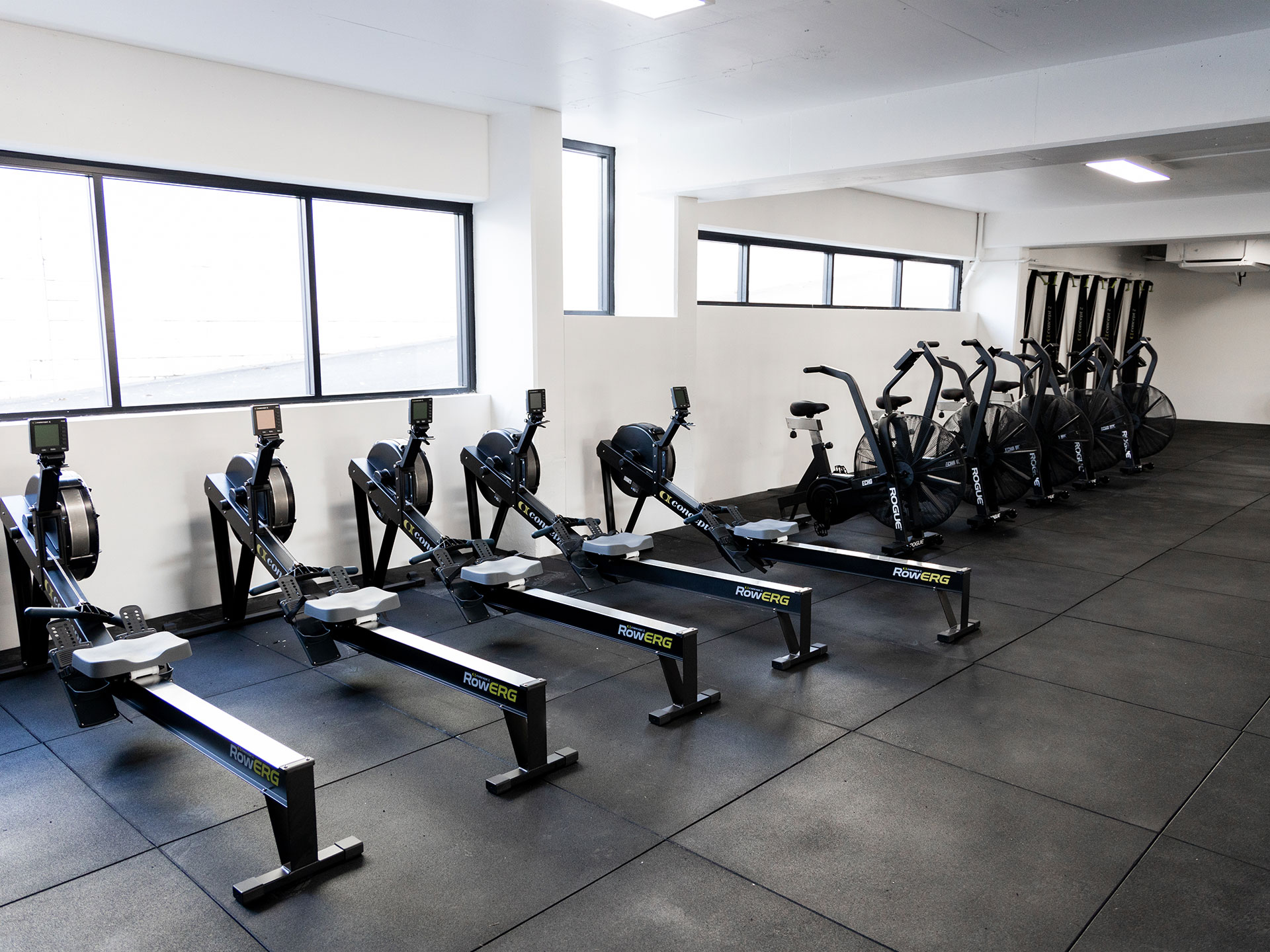 ACTV Strength Co. | AlphaFit