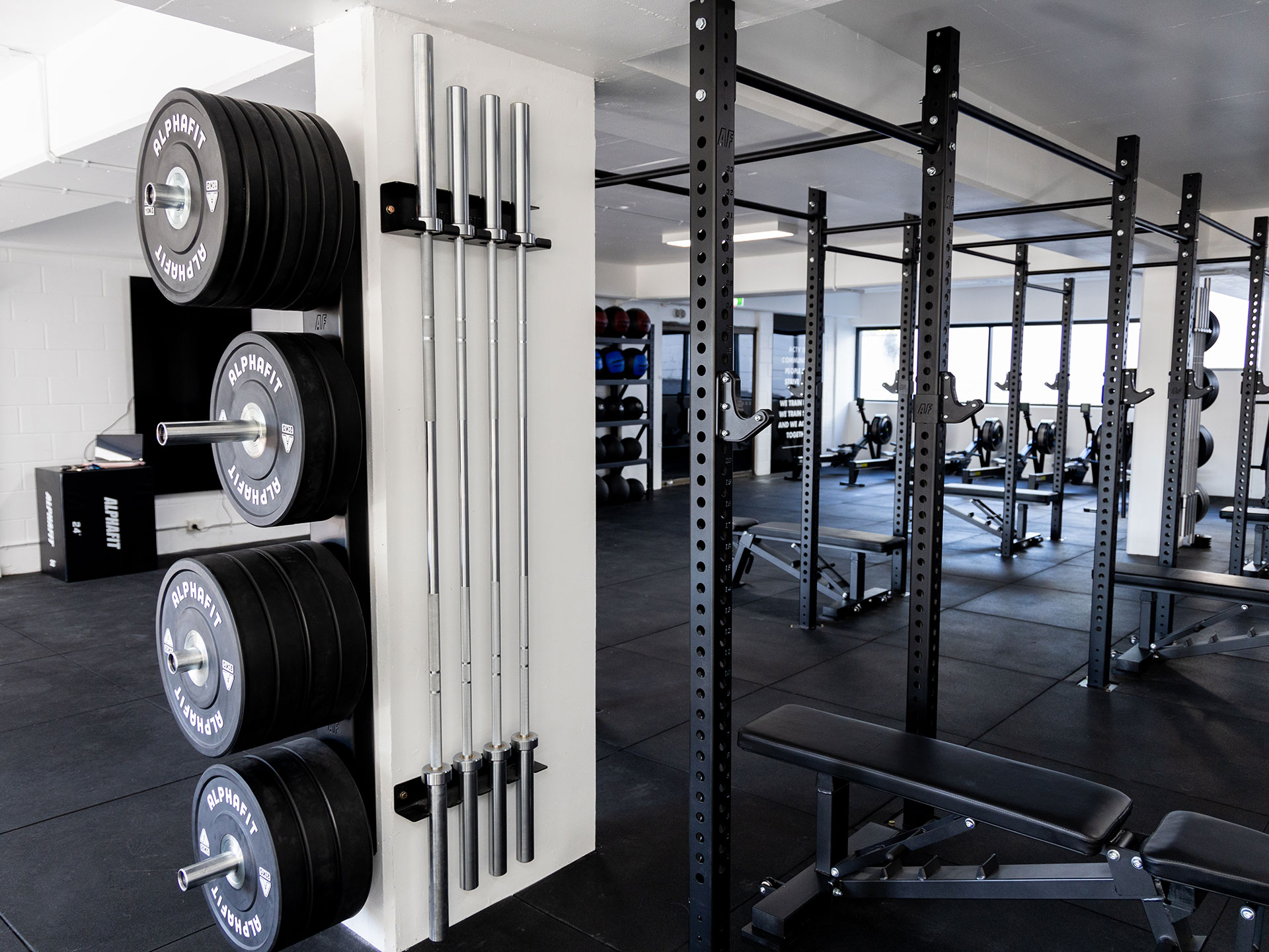 ACTV Strength Co. | AlphaFit