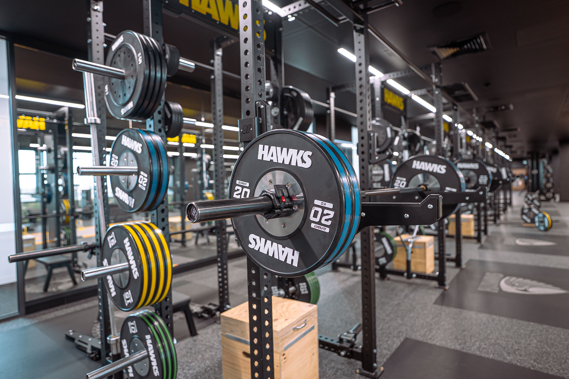 Hawthorn Football Club 