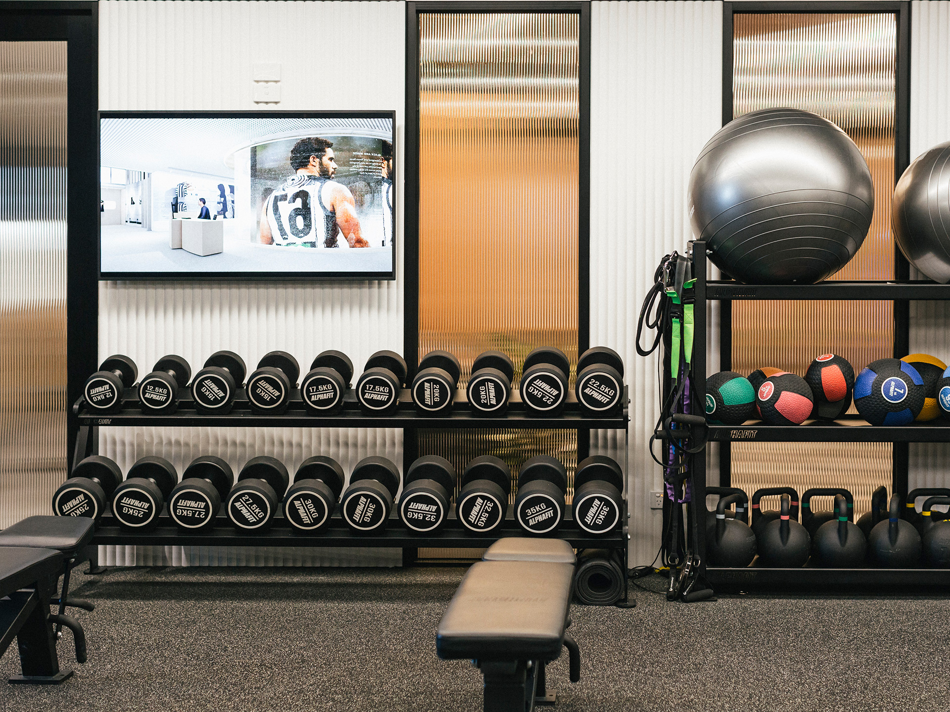 Performe Sports Medicine, Health & Rehab Services Gym Fitout AlphaFit