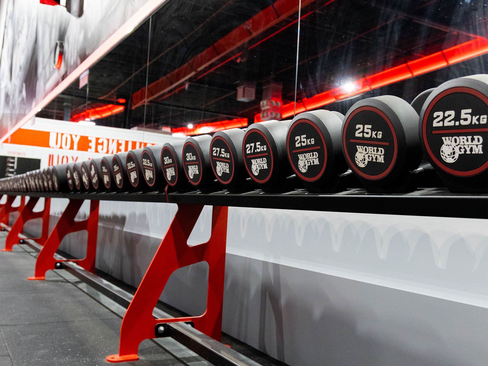 World Gym Underwood AlphaFit