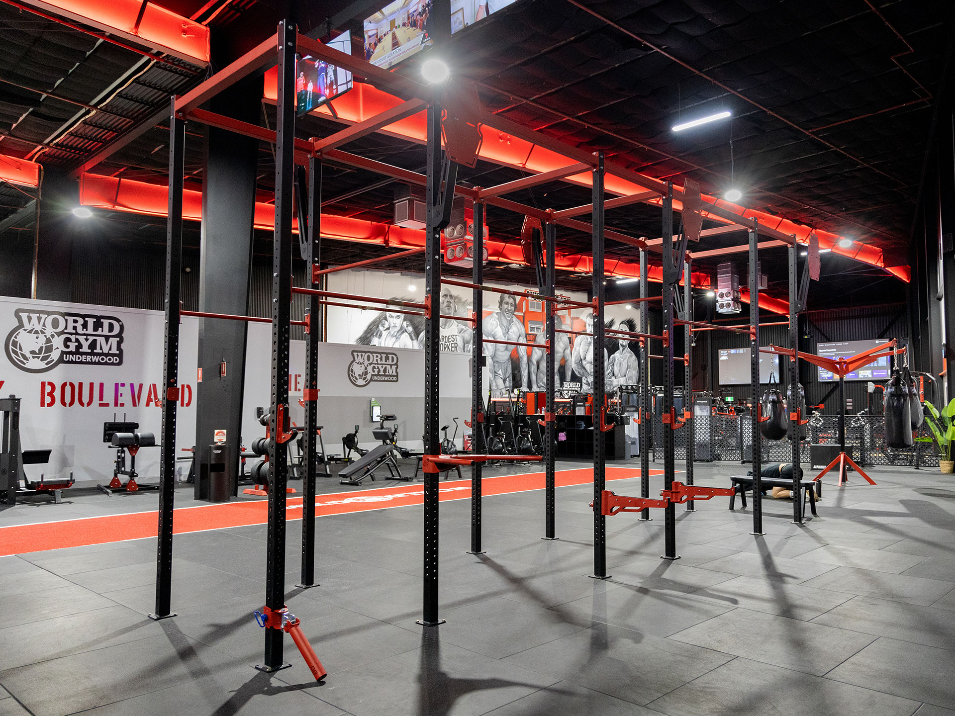 World Gym Underwood AlphaFit