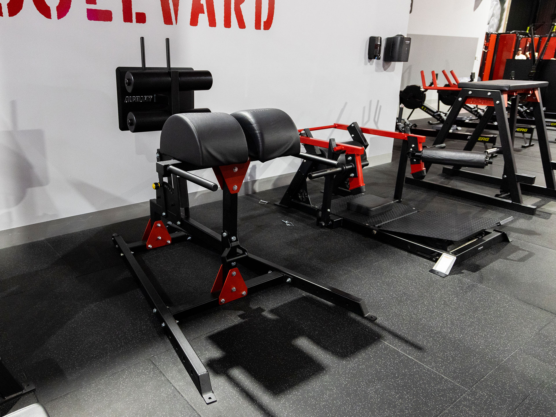 World Gym Underwood AlphaFit