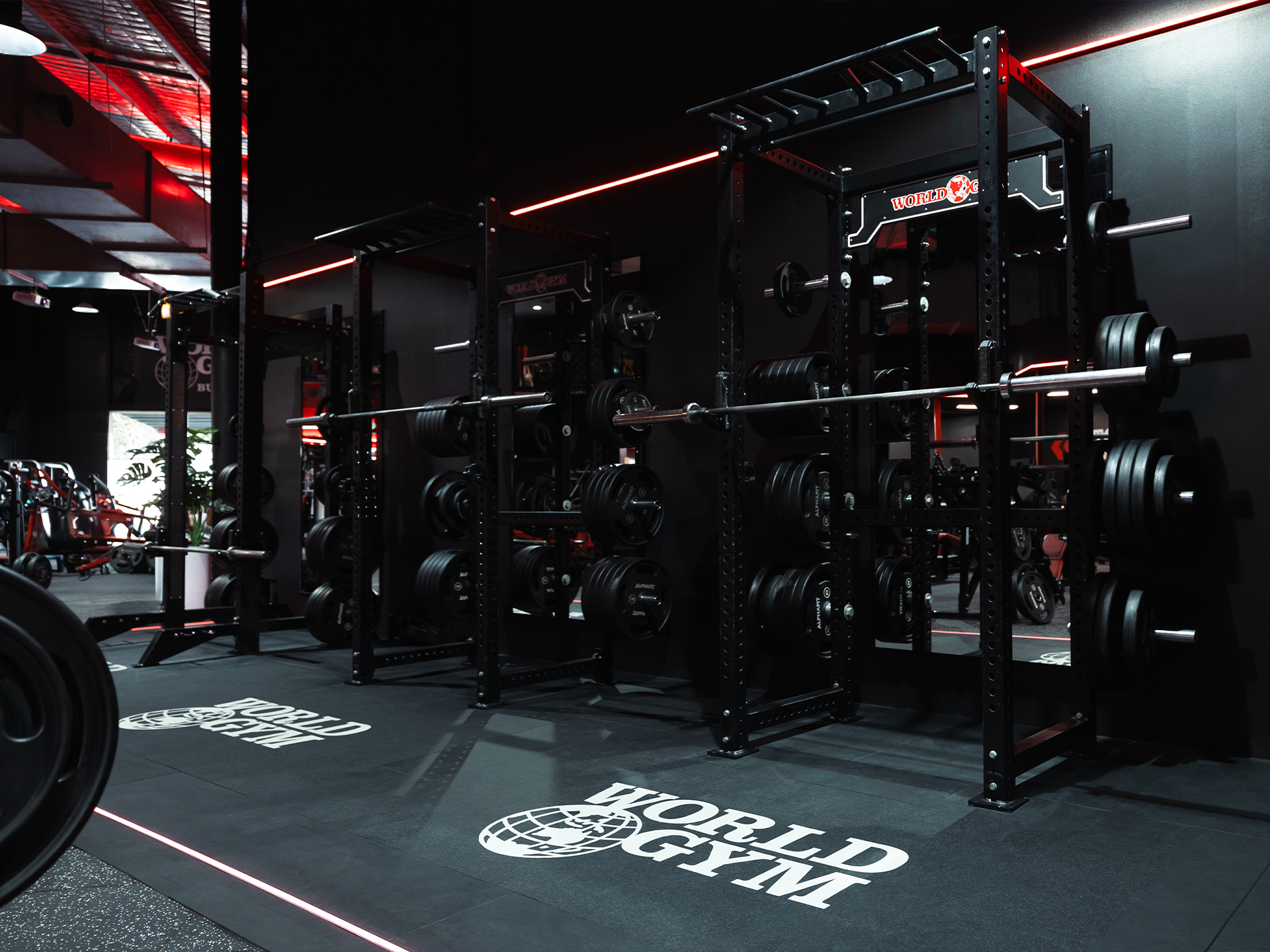World Gym Burleigh Heads Hyrox Gym Fitout