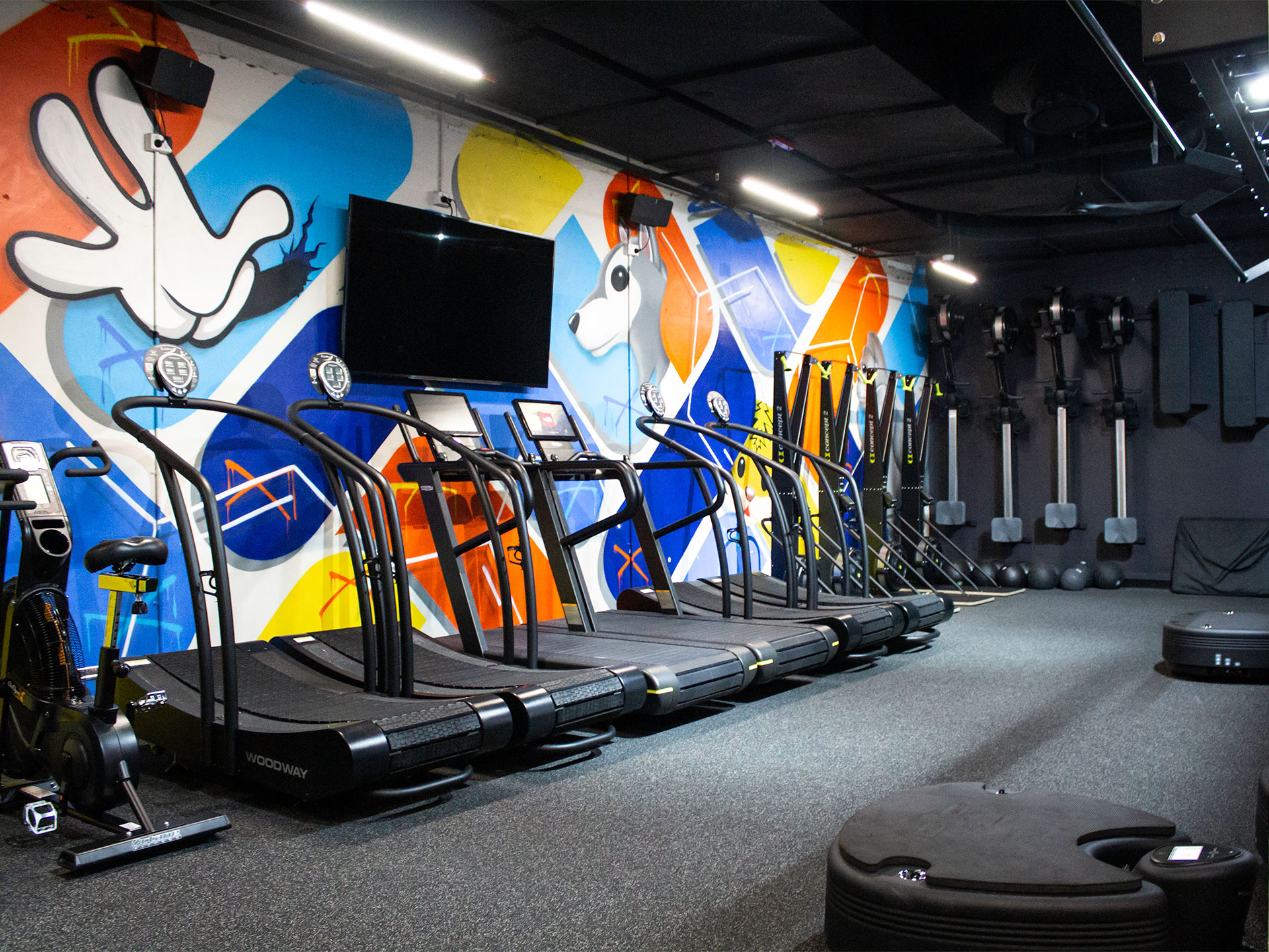 Ion Strength and Conditioning Gym Fitout