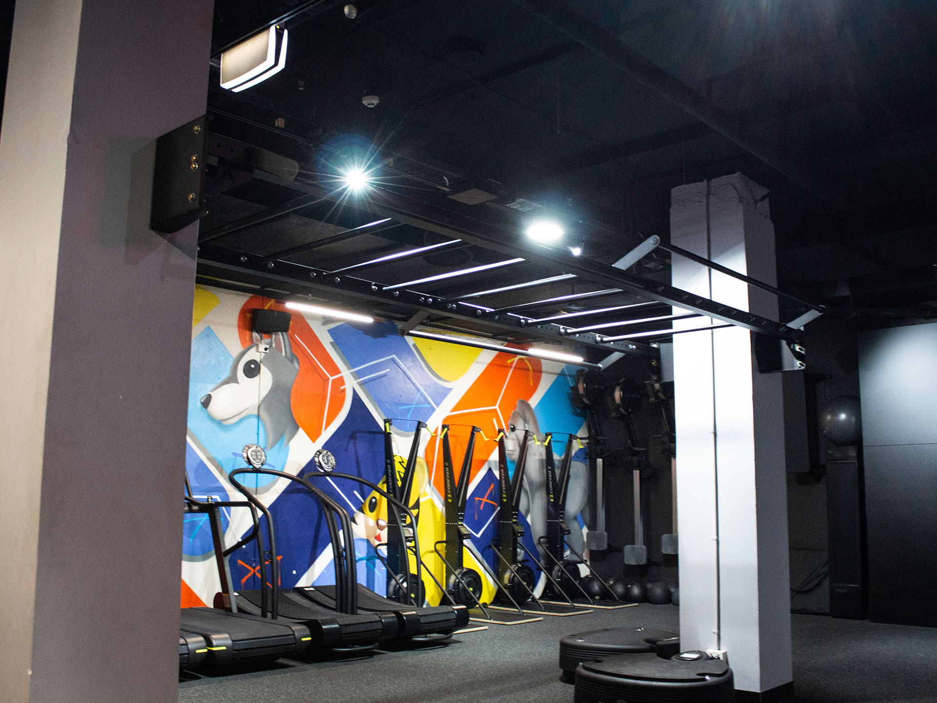 Ion Strength and Conditioning Gym Fitout