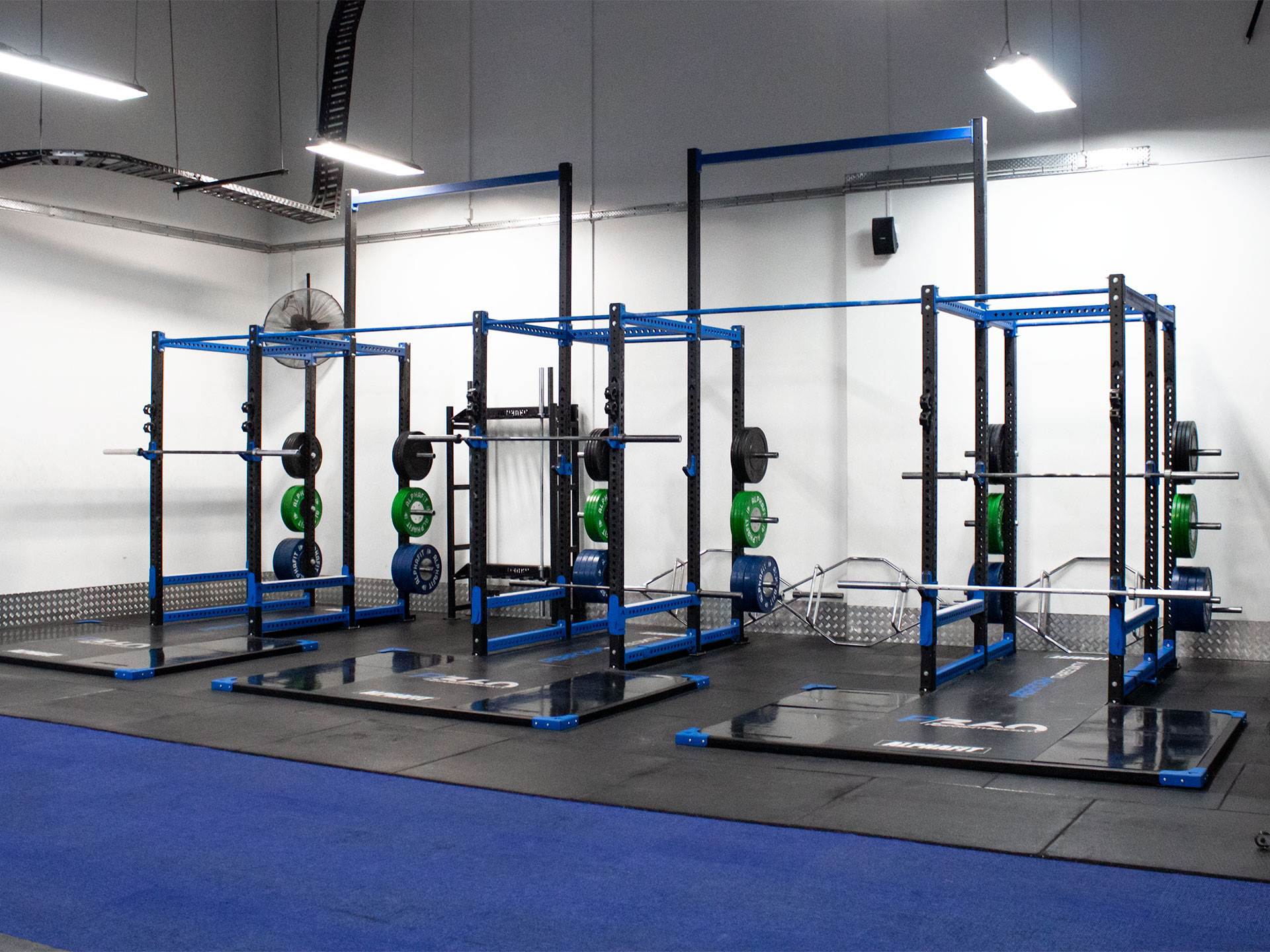 Perform 360 Strength and Conditioning Gym Fitout