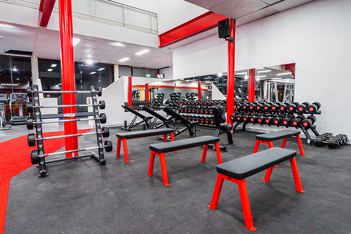 Training Day Gym Dumbbell Bench Zone