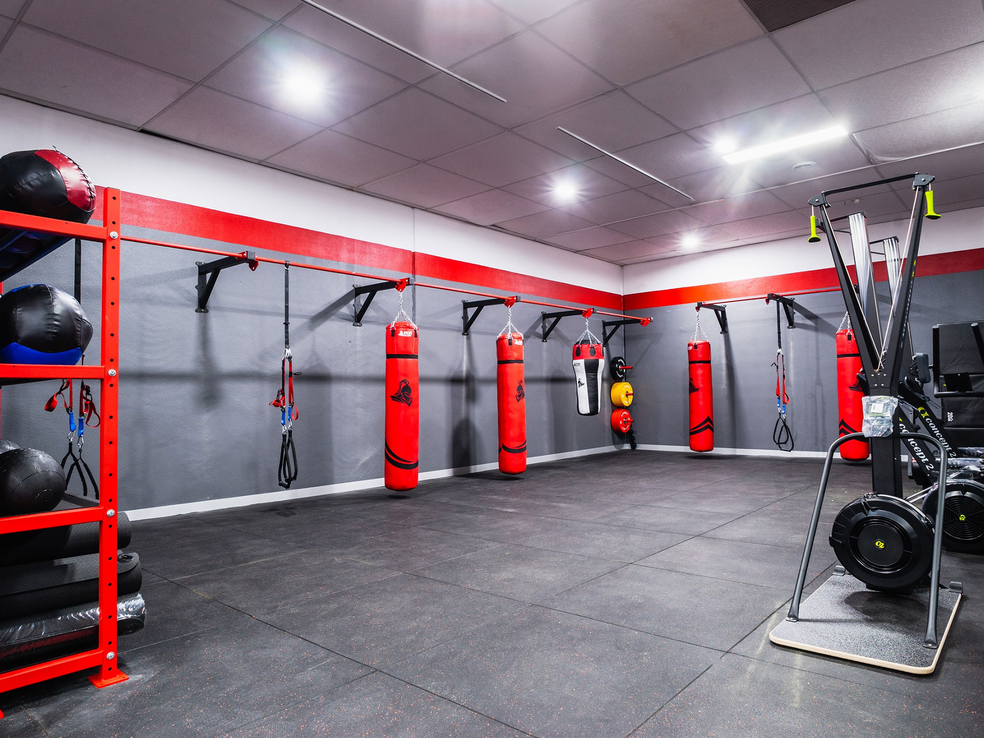 Training Day Commercial Gym Fitout