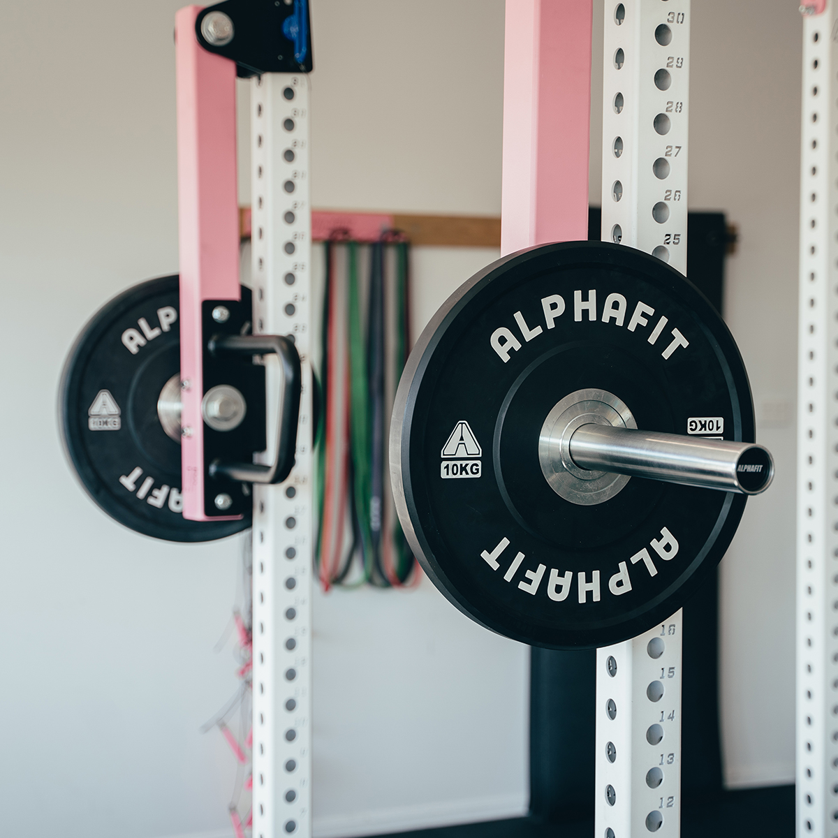 AlphaFit Endure Bumper Weight Plates