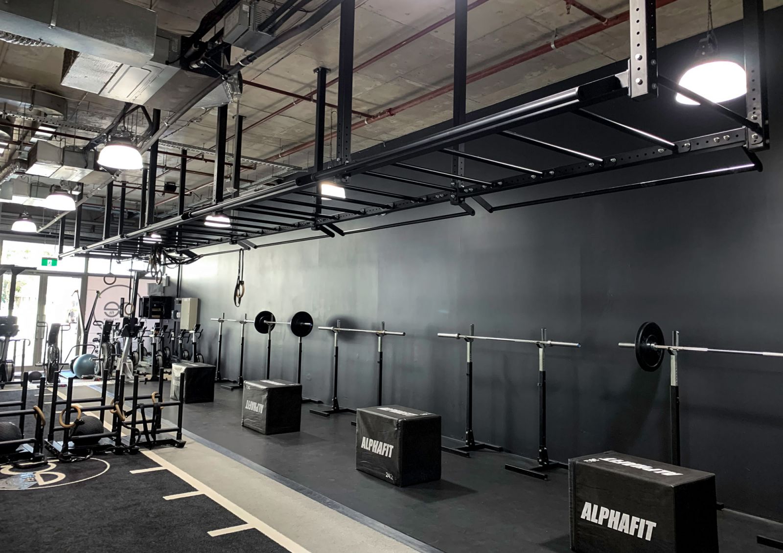 AlphaFit Ceiling Mounted Monkey Bar Rig