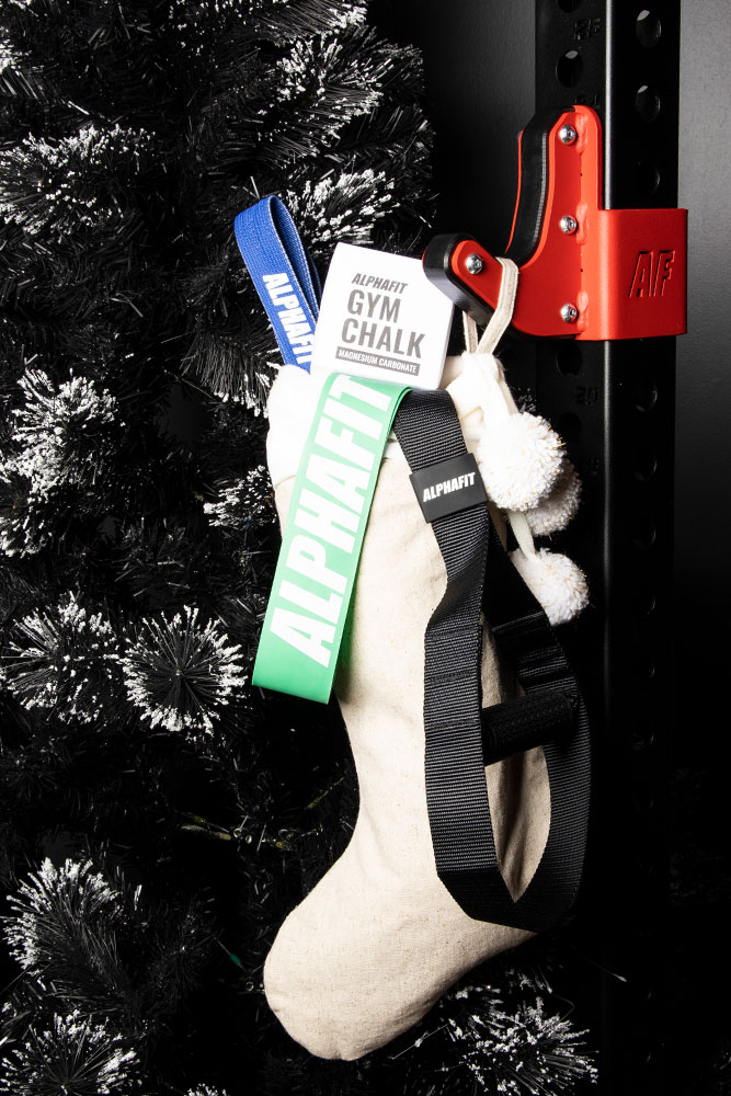 Shop the AlphaFit Gift Guide