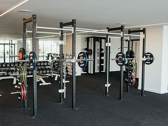 Alphafit Custom Rigs and Cages