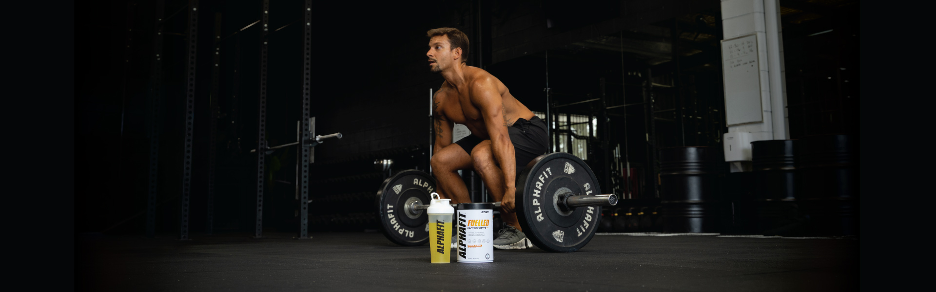 Supplements