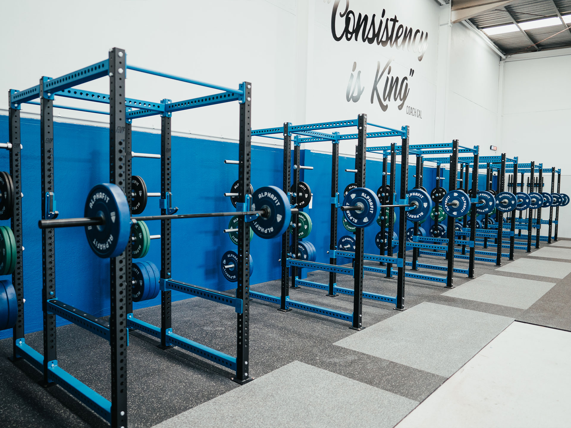 Strength & Conditioning Gym Fitout Gallery AlphaFit